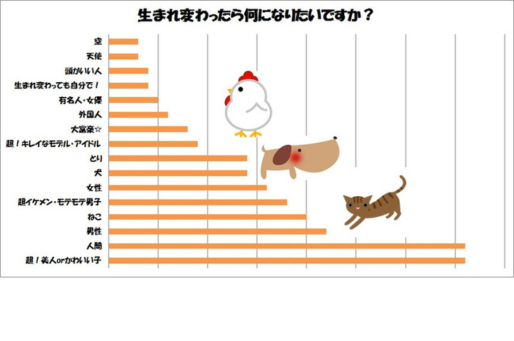 ズバリ スンダイ生に聞いてみましたぁ ズバリ 全学科に聞きました 生まれ変わったら何になりたい ズバリ 聞きましたblog